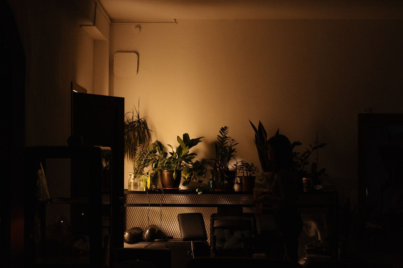 苔然体验空间